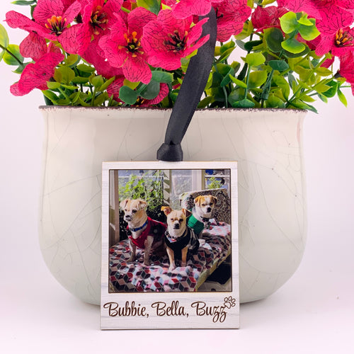Personalized Photo Frame - Jamielizabeth Christmas Ornament (See directions)
