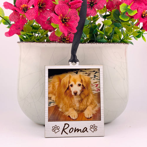 Personalized Photo Frame - Jamielizabeth Christmas Ornament (See directions)